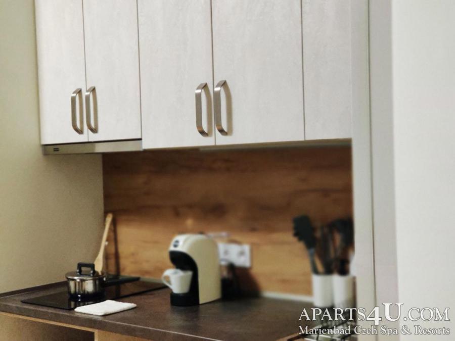 Apartment Grun Wald Mariánské Lázně المظهر الخارجي الصورة