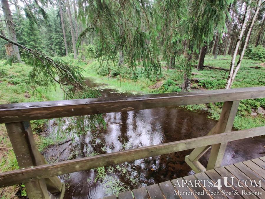 Apartment Grun Wald Mariánské Lázně المظهر الخارجي الصورة