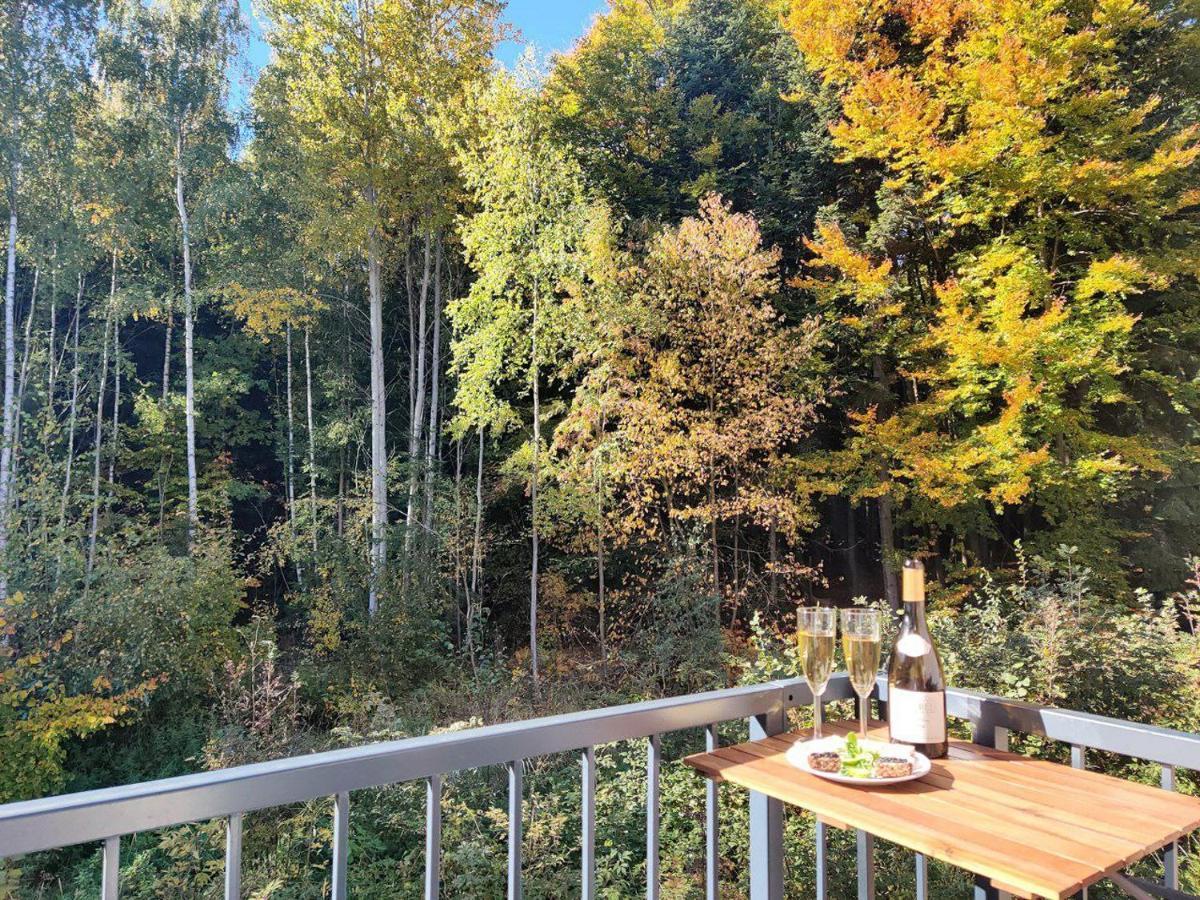 Apartment Grun Wald Mariánské Lázně المظهر الخارجي الصورة
